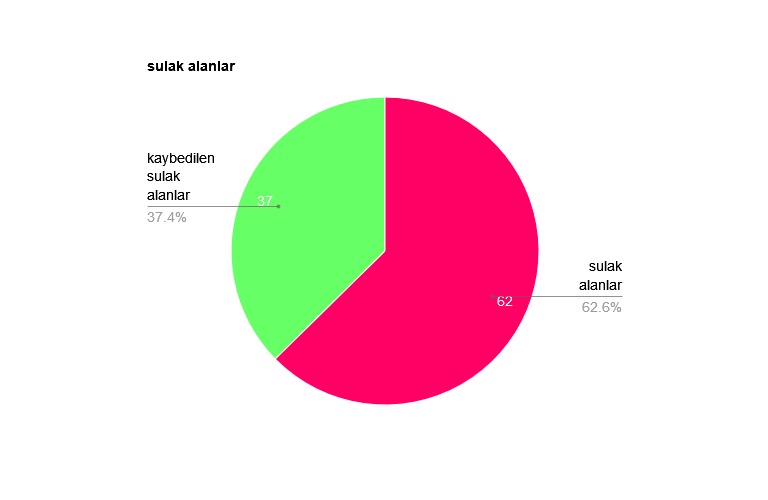Sulak Alanlar Grafiği